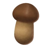 Ressource Pilze Matsutake